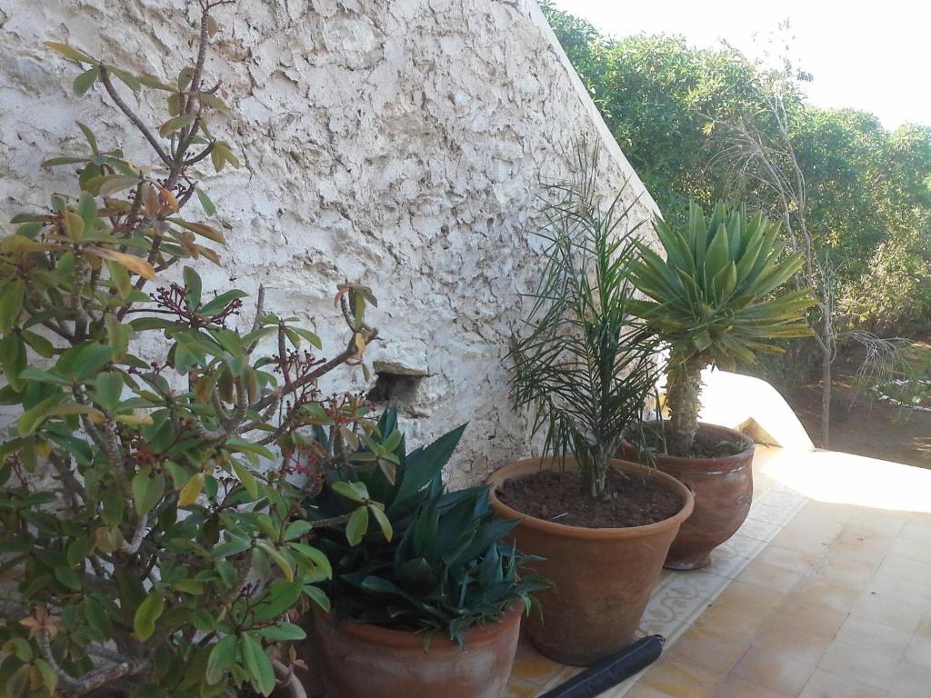 La Maison Essaouira Hotel Exterior foto